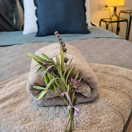 Lux Panorama Apartment